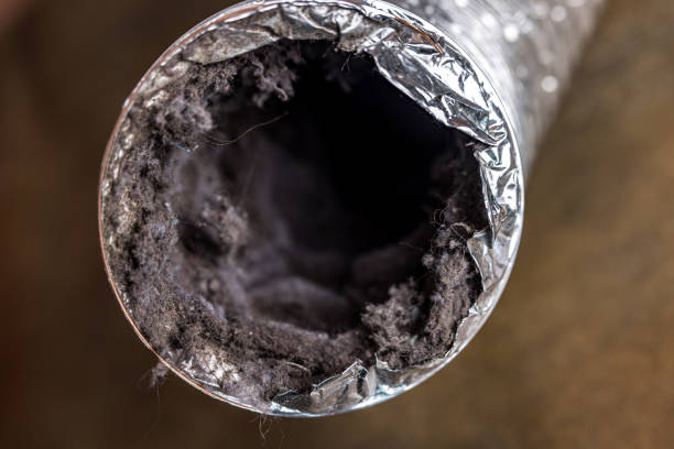 Best Affordable HVAC Duct Cleaning  in Port Hueneme, CA